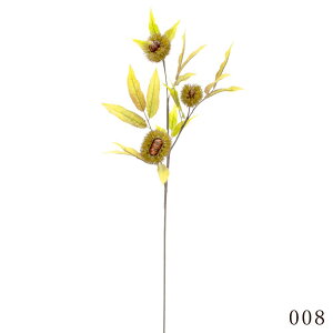 yP10{ 12/31܂ŁIz tFCNt[h Ƃ悹i Iu`  CeA C~e[V ԍ Ԏ f ޗ p[c    i` t  H ~ i A 