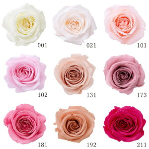 vU[uht[ ԍ Ƃ悹i [YET(9֓) hCt[ ԍ f p[c ޗ [Y n[oE vU[uh[Y uU[uh o n_