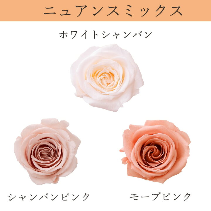 楽天市場】プリザーブドフラワー 花材 とりよせ品 ローズ・サラ カラー 