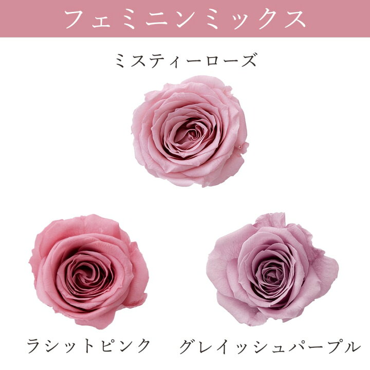 楽天市場】プリザーブドフラワー 花材 とりよせ品 ローズ・サラ カラー 