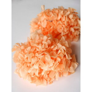 yP10{ z vU[uht[ ԍ o ߃AWTCEwbh WAIW ԍ f ޗ p[c AWTC  IW z Ԃт XbO u[P n_