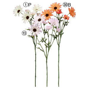  Ƃ悹i f[W[×6 ڂ×1 fCW[ CeA CeAt[ tFCNt[ VNt[ CeAO[ ԍ Ԏ AXJ ASCA AXJ