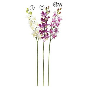 yP10{ 12/31܂ŁIz  Ƃ悹i ft@×8 ڂ×3   ̉ fhrE fhr[ CeA CeAt[ tFCNt[ AXJ ASCA AXJ