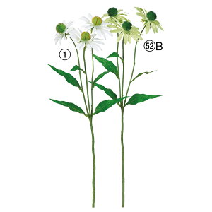  Ƃ悹i hxLA×3 }e R[t[ CeA CeAt[ tFCNt[ VNt[ CeAO[ ԍ AXJ ASCA AXJ