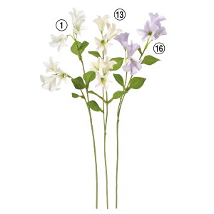 yP10{ 12/31܂ŁIz  Ƃ悹i Jpj×6 xt[ tE\E cKl\E 鑐 ޏ  A[eBtBVt[ CeA ԍ Ԏ AXJ ASCA AXJ