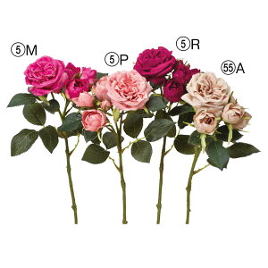 yP10{ 12/31܂ŁIz  Ƃ悹i [Y×2 ڂ×3 o KN [bg炫 CeA CeAt[ tFCNt[ VNt[ CeAO[ AXJ ASCA AXJ