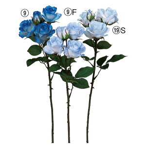  Ƃ悹i [Y×3 ڂ×2 o KN   CeA CeAt[ tFCNt[ VNt[ CeAO[ ԍ AXJ ASCA AXJ