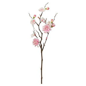 yP10{ 12/31܂ŁIz  Ƃ悹i ԓ×7 ڂ×6   ̉ ̉ a CeA CeAt[ tFCNt[ VNt[ tFCNO[ AXJ ASCA AXJ