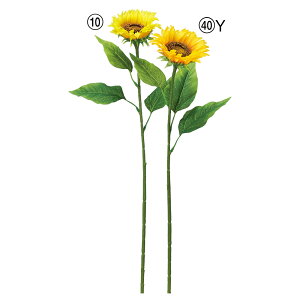  Ƃ悹i Tt[ q}  Ђ܂ 썑 gsJ CeA CeAt[ tFCNt[ VNt[ ԍ  AXJ ASCA AXJ