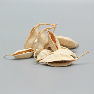 yP10{ z hCt[ ԍ o ub`[Vg TV ԍ f ޗ p[c   zCg 킢 XbO [X AW AWg  RAg[fBO