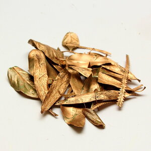 hCt[ ԍ o S[h[t ~bNX S[h ԍ f p[c [t t F A\[g   NX}X  XbO RAg[fBO