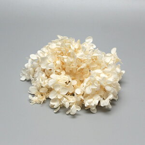 yP10{ z vU[uht[ ԍ o s~bhAWTC ItzCg ԍ f ޗ p[c hCt[  zCg W AWTC  z Ԃт u[P