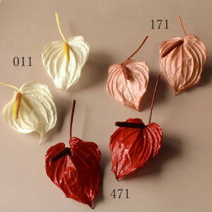 yP10{ 12/31܂ŁIz vU[uht[ ԍ Ƃ悹i AX[  wbh(3) ԍ f ޗ p[c  zCg AXE  sN hCt[ XbO ԑ n_