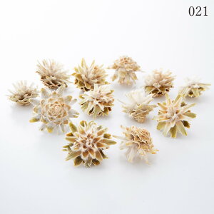 hCt[ ԍ Ƃ悹i X^[R[Ewbh ؂̎ t[c ʎ ibc hC Rf hCt[ i`hCt[ CeA v n_