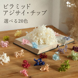 yP10{ z vU[uht[ ԍ o s~bhAWTC `bv 󂠂 P   AWTC  z hCt[ W Ԃт XbO n_