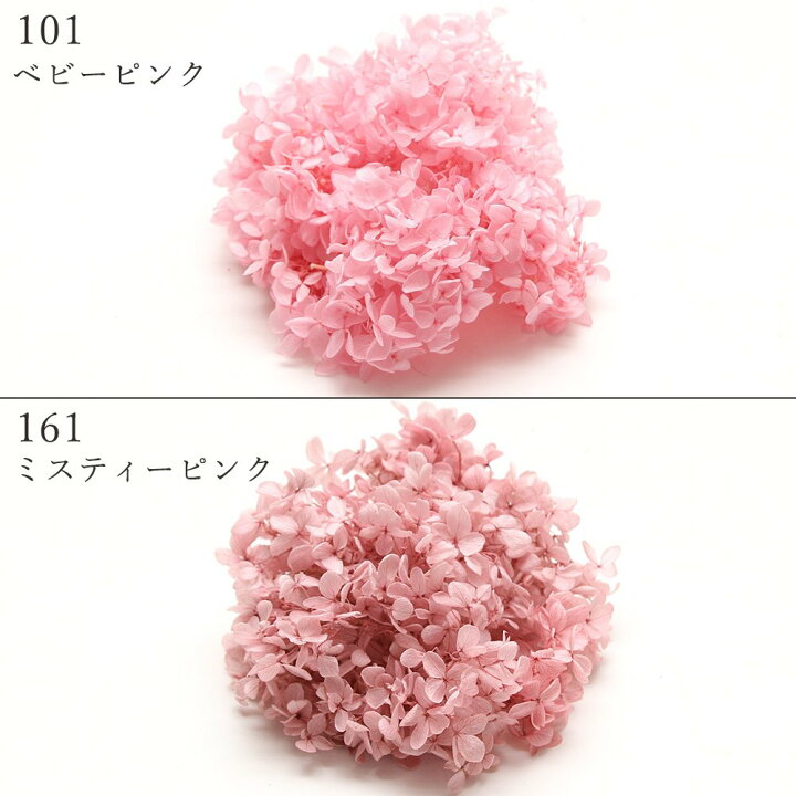 楽天市場】プリザーブドフラワー 花材 即日出荷 ピラミッドアジサイ 