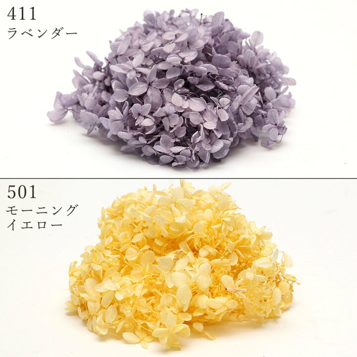 楽天市場】プリザーブドフラワー 花材 即日出荷 ピラミッドアジサイ 