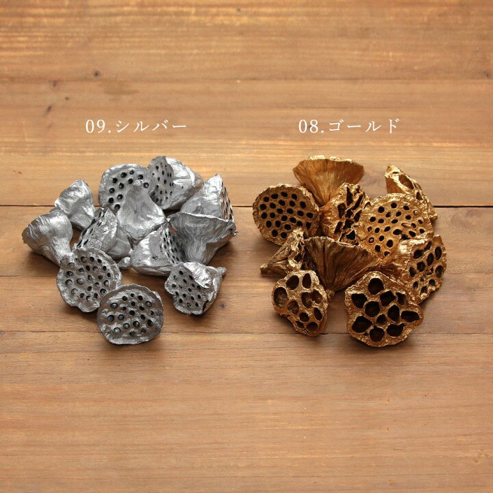 楽天市場】ドライフラワー 花材 即日出荷 ロータス(S) 花材 素材 材料  