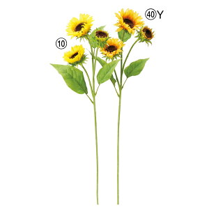  Ƃ悹i Tt[×3 q}  Ђ܂ 썑 gsJ CeA CeAt[ tFCNt[ VNt[ ԍ AXJ ASCA AXJ