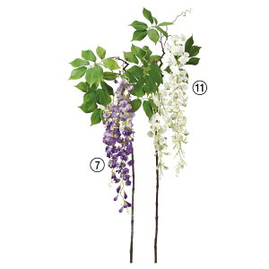 yP10{ 12/31܂ŁIz  Ƃ悹i EBXeA×2  tW̉ ̉ CeA CeAt[ tFCNt[ VNt[ CeAO[ ԍ t AXJ ASCA AXJ