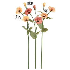 yP10{ 12/31܂ŁIz  Ƃ悹i gRMLE×2 ڂ×1 VATX gRMLE gRj[ CeA CeAt[ tFCNt[ ԍ f AXJ ASCA AXJ