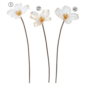 yP10{ 12/31܂ŁIz  Ƃ悹i NAhbOEbhsbN(16{) Ԑ hbOEbh nhCh ޗ ԍ   ANZT[  Ԏ t AXJ ASCA AXJ