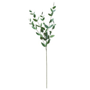  O[ Ƃ悹i [J CeA tFCN O[ p[c CeAt[ tFCNt[ VNt[ CeAO[ AXJ ASCA AXJ