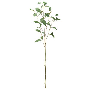 yP10{ 12/31܂ŁIz  O[ Ƃ悹i [tXv[ CeA tFCN O[ p[c CeAt[ tFCNt[ VNt[ ԍ Ԏ AXJ ASCA AXJ