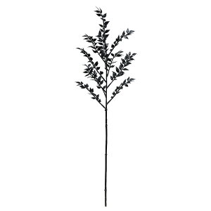 yP10{ 12/31܂ŁIz  O[ Ƃ悹i XJX  ubN CeA tFCN O[ p[c CeAt[ tFCNt[ VNt[ ԍ AXJ ASCA AXJ