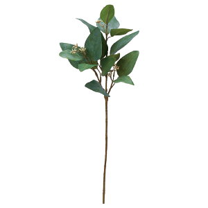 yP10{ 12/31܂ŁIz  O[ Ƃ悹i [J CeA tFCN O[ p[c CeAt[ tFCNt[ VNt[ CeAO[ AXJ ASCA AXJ