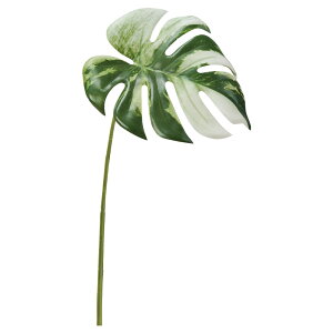  O[ Ƃ悹i Xe ϗt 썑 gsJ 傫 CeA tFCN O[ p[c CeAt[ tFCNt[ t AXJ ASCA AXJ