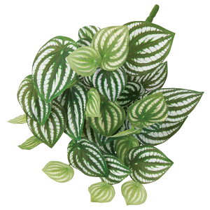 yP10{ 12/31܂ŁIz  O[ Ƃ悹i XCJyyubV CeA tFCN O[ p[c CeAt[ tFCNt[ VNt[ ԍ t AXJ ASCA AXJ