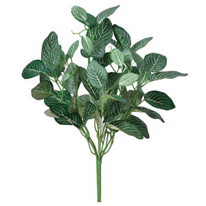 yP10{ 12/31܂ŁIz  O[ Ƃ悹i tBbgjAubV CeA tFCN O[ p[c CeAt[ tFCNt[ VNt[ ԍ AXJ ASCA AXJ