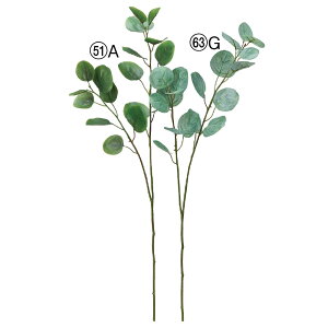  O[ Ƃ悹i [J |vX ||X CeA tFCN O[ p[c CeAt[ tFCNt[ VNt[ AXJ ASCA AXJ