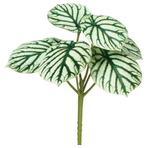 yP10{ 12/31܂ŁIz  O[ Ƃ悹i yy~AsbN CeA tFCN O[ p[c CeAt[ tFCNt[ VNt[ ԍ f AXJ ASCA AXJ