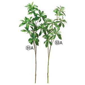  O[ Ƃ悹i AZr CeA tFCN O[ p[c CeAt[ tFCNt[ VNt[ CeAO[ AXJ ASCA AXJ