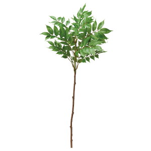 yP10{ 12/31܂ŁIz  O[ Ƃ悹i n[mL CeA tFCN O[ p[c CeAt[ tFCNt[ VNt[ CeAO[ AXJ ASCA AXJ