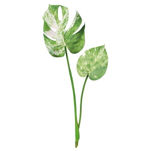  O[ Ƃ悹i XeubV ϗt 썑 gsJ 傫 CeA tFCN O[ p[c CeAt[ ԍ Ԏ AXJ ASCA AXJ