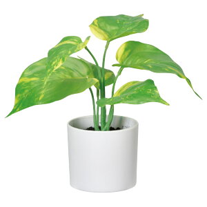 tFCNO[ ϗtA Ƃ悹i |gX(|bgt)  lHϗt  CeA CeAt[ tFCNt[ VNt[ t AXJ ASCA AXJ