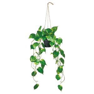 yP10{ z tFCNO[ ϗtA Ƃ悹i nMO|gX(|bgt) lHϗt CeA CeAt[ tFCNt[ VNt[  AXJ ASCA AXJ