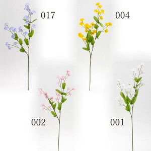 yP10{ 12/31܂ŁIz  Ƃ悹i Yȑ XiOT Yȑ CeA CeAt[ tFCNt[ VNt[ CeAO[ tFCNO[ A[gt