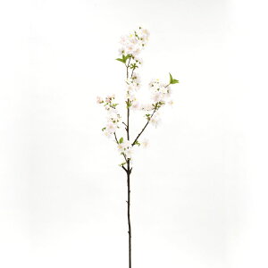 yP10{ }\z  Ƃ悹i 鐝 TNqr `F[ubT CeA CeAt[ tFCNt[ VNt[ CeAO[ tFCNO