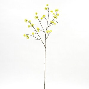  Ƃ悹i TV TV CeA CeAt[ tFCNt[ VNt[ CeAO[ tFCNO[ A[gt[ ԍ f