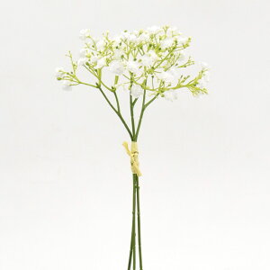 yP10{ 12/31܂ŁIz  Ƃ悹i Wv\oh(3{/) Wv\tB JX~\E xr[uX ݑ Mv\tB A[eBtBVt[ CeA CeAt[ 