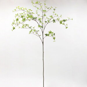 yP10{ 12/31܂ŁIz  O[ Ƃ悹i ǂ ǂ tFCNO[ [t t hE_ccW u` CeA p[c CeAt[ tFCNt