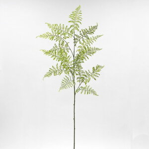 yP10{ 12/31܂ŁIz  O[ Ƃ悹i AWA^Xv[ AWA^ tFCNO[ [t t CeA p[c CeAt[ tFCNt[ VNt[