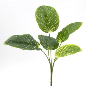 yP10{ 12/31܂ŁIz  O[ Ƃ悹i JeAubV JeA ubV tFCNO[ [t t CeA p[c CeAt[ tFCNt[ VNt