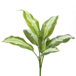  O[ Ƃ悹i fBtFoLAubV fBtFoLA ubV tFCNO[ [t t CeA p[c CeAt[ tFCNt[ t