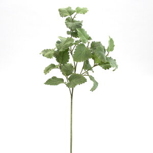 yP10{ 12/31܂ŁIz  O[ Ƃ悹i ~g ~g n[u tFCNO[ [t t CeA p[c CeAt[ tFCNt[ VNt[ A[gt