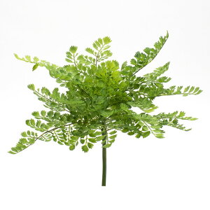 yP10{ 12/31܂ŁIz  O[ Ƃ悹i AWA^ubV AWA^ ubV tFCNO[ [t t CeA p[c CeAt[ tFCNt[ ԍ 